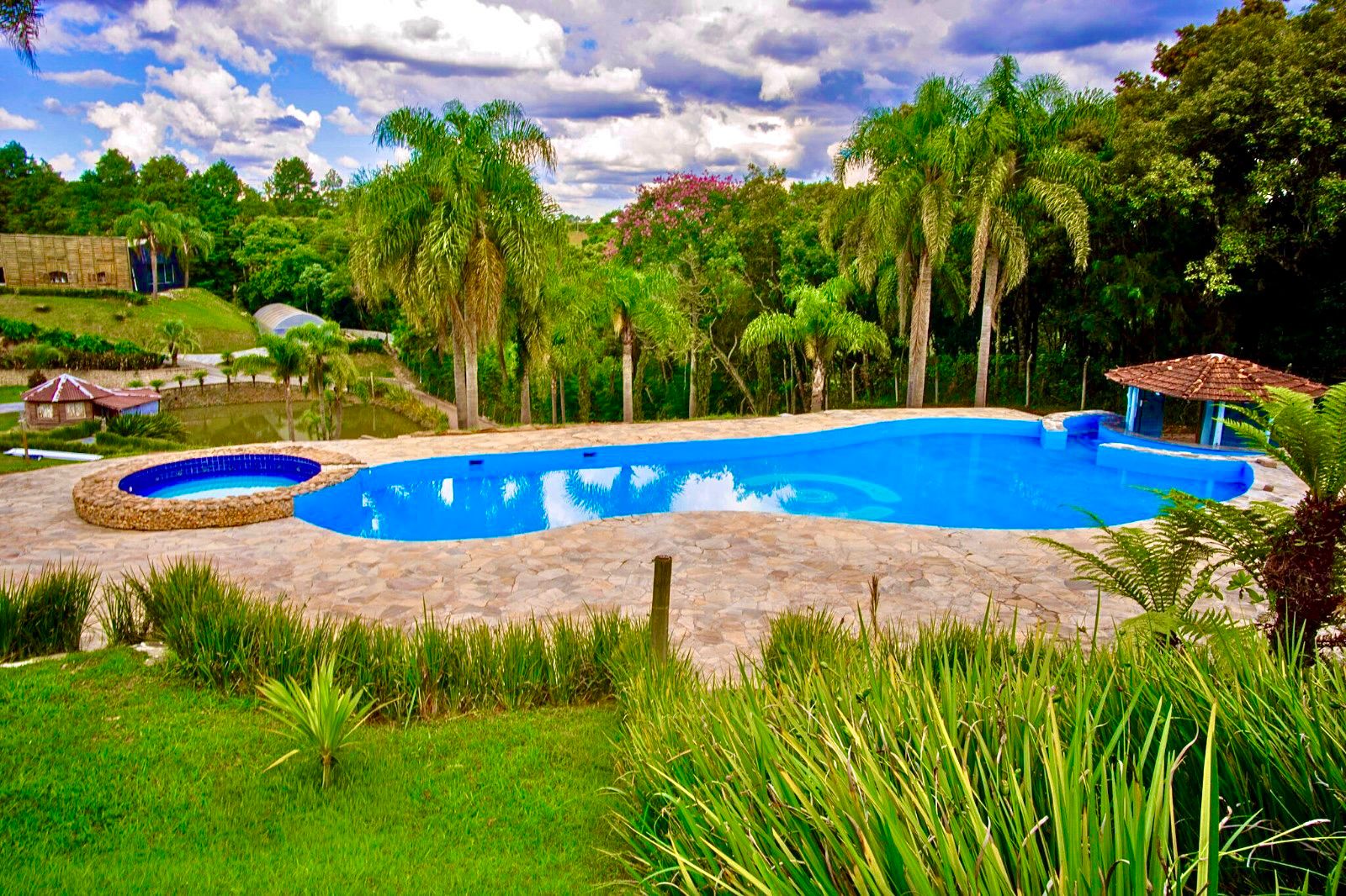 Piscina da Chácara O Alvo com vista para floresta nativa